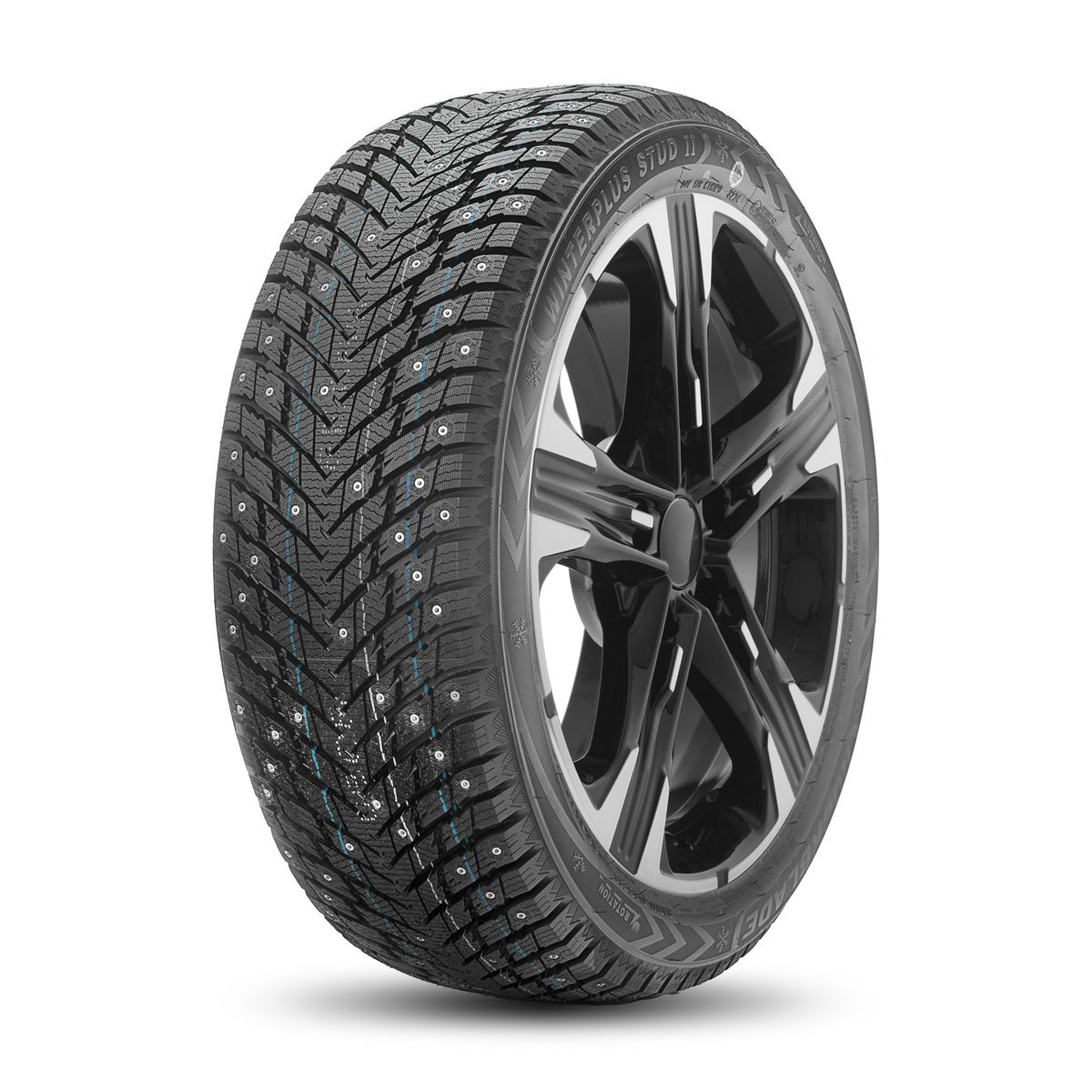 Winterplus Stud II